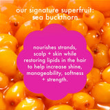 super-sized signature set normcore shampoo and conditioner + soulfood mask